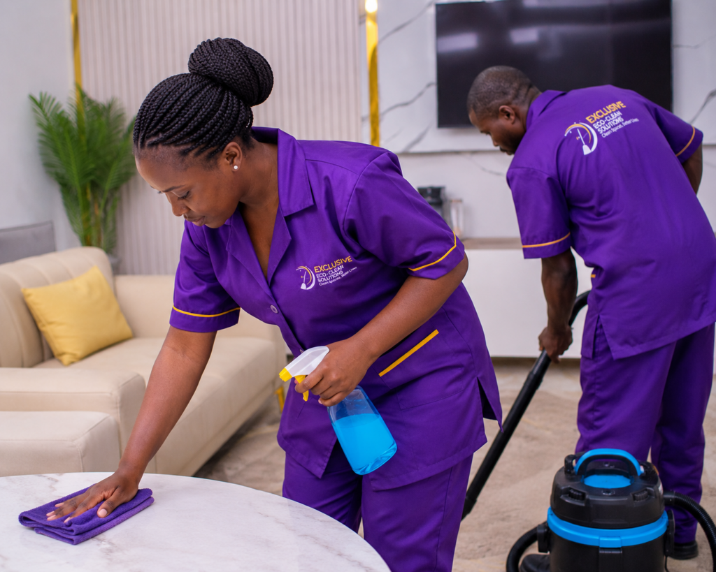 Professional cleaning services by Exclusive Eco-Clean Solutions